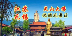 美女视频黄色网站WWW江苏无锡灵山大佛旅游风景区