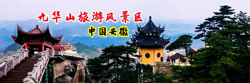大鸡巴插入女生下体视频